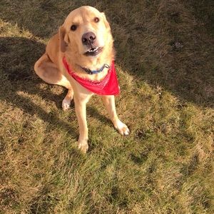 Meet your Posher, Jess
